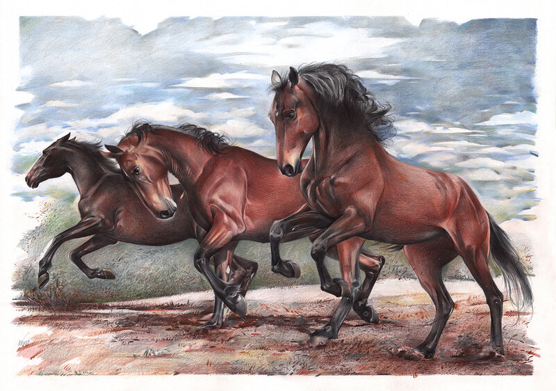 Running Horses